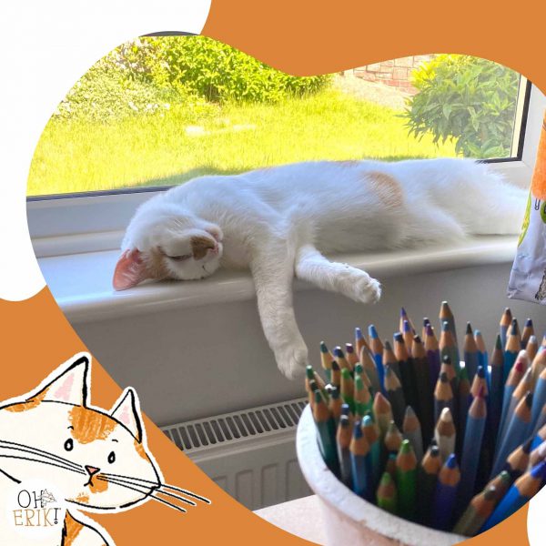 I love cats