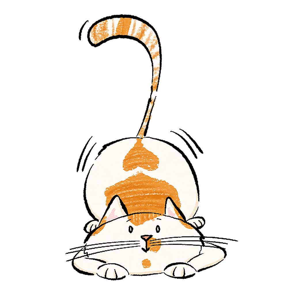 cat character
