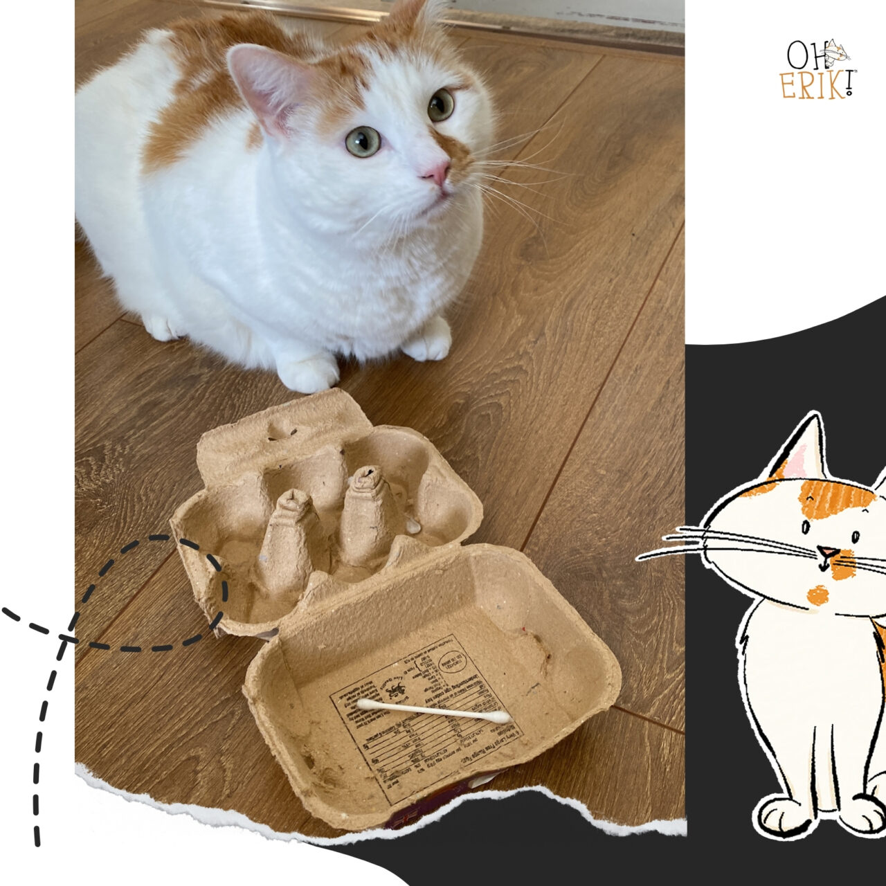 cat brand