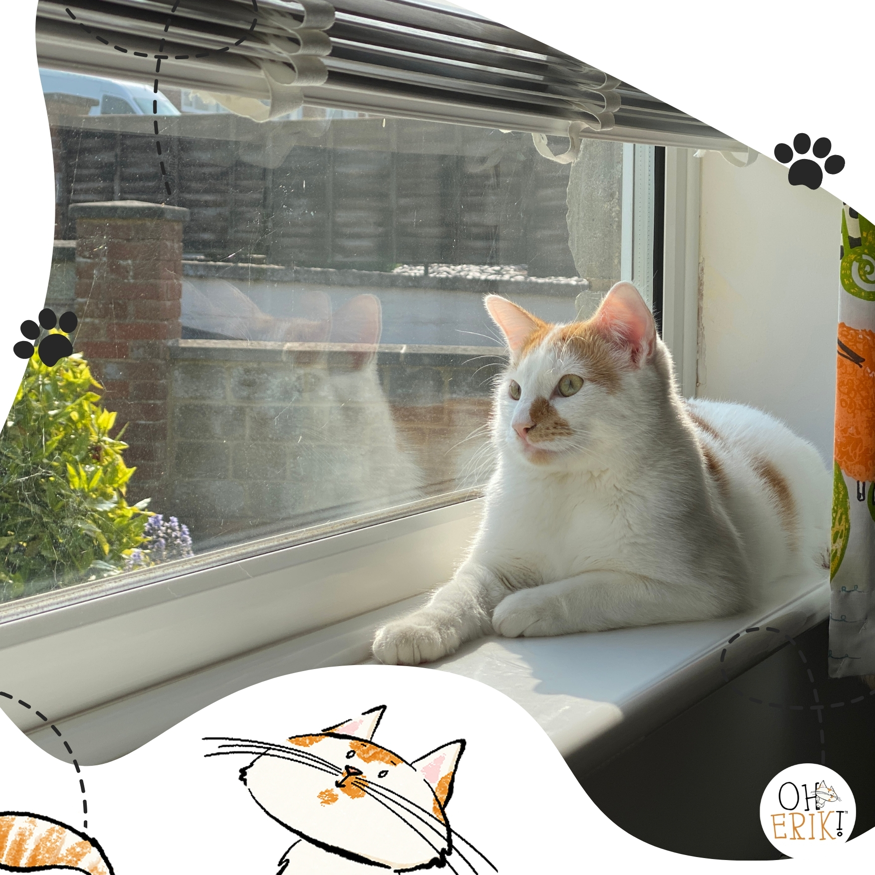 The Secret Life of Sunbeams: Confessions of a Professional Lounger