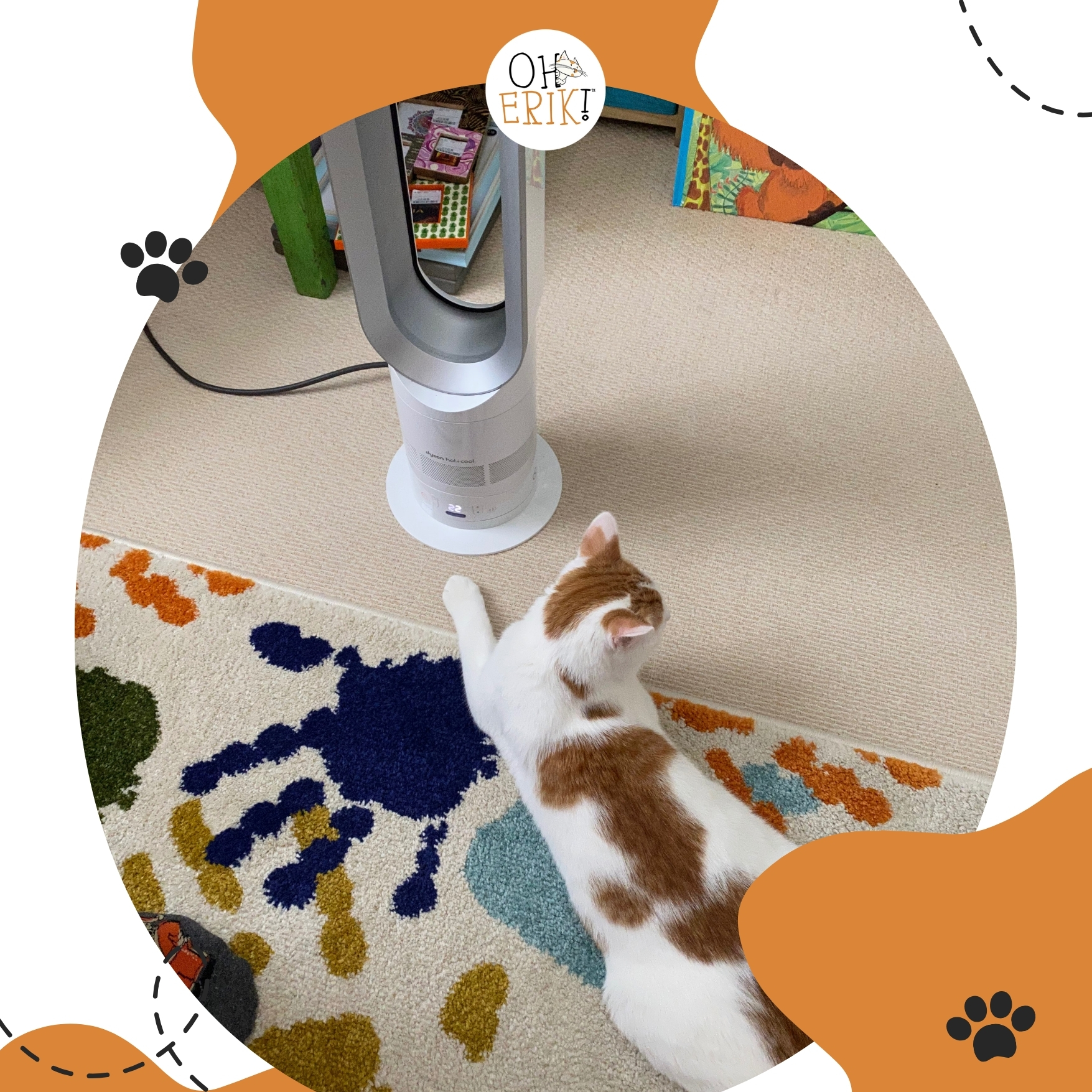 Hydration Station: A Sophisticated Cat’s Guide to Keeping Cool