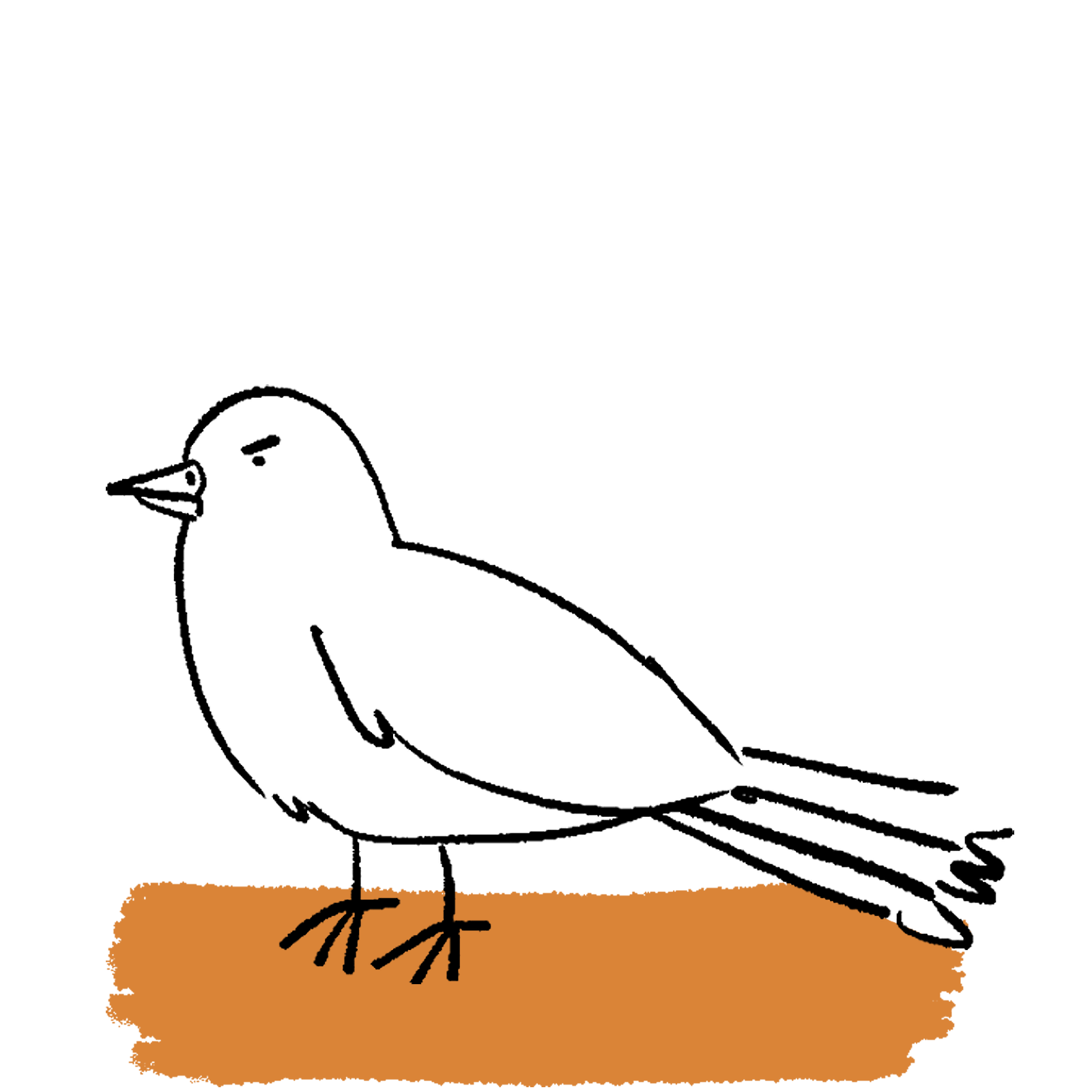 Birdi