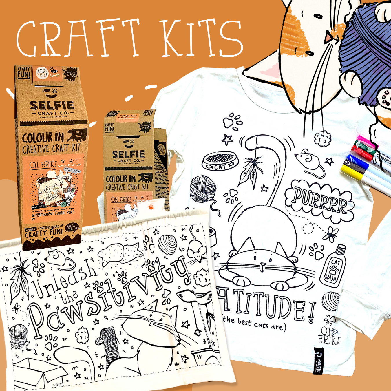 Cat Craft Kits