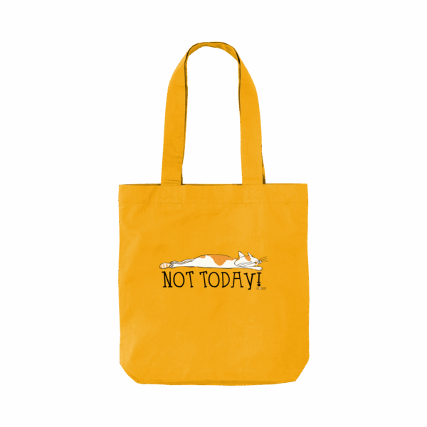 cat bag