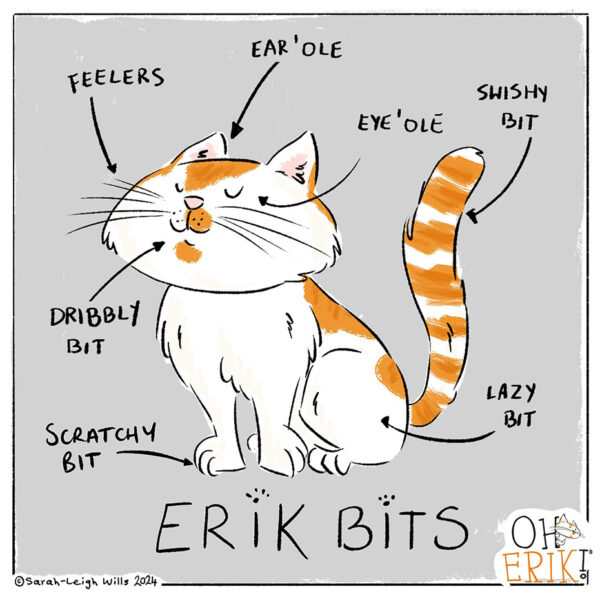 moreerik-image8