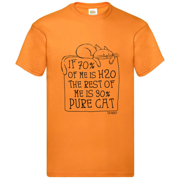 orange cat short sleeved t-shirt - H20