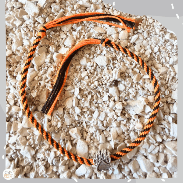 cat-friendship-bracelet