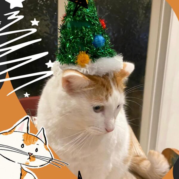 Christmas Oh Erik