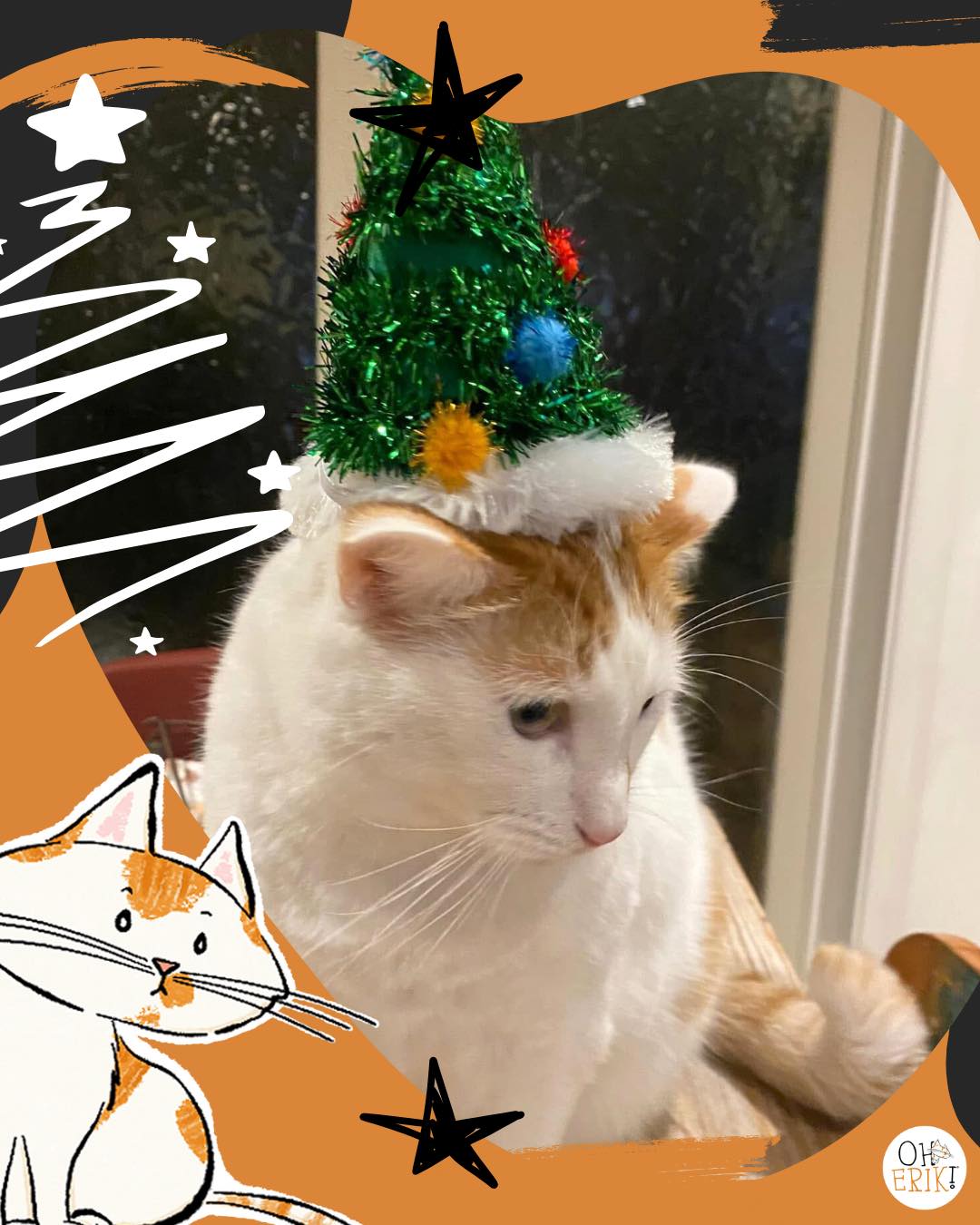 A Very Merry Meow: Erik’s Official Guide To Christmas And New Year Safety