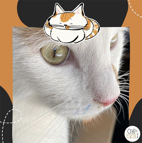 The Great Indoor Safari: Erik’s Wild Adventures (Without Leaving the Living Room)