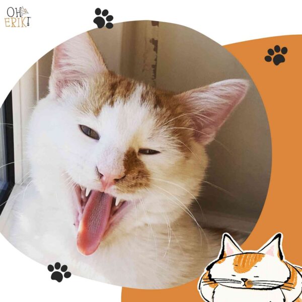 Erik with his tongue out