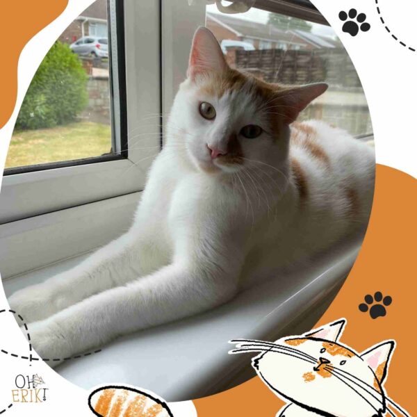 Erik lying on the window ledge