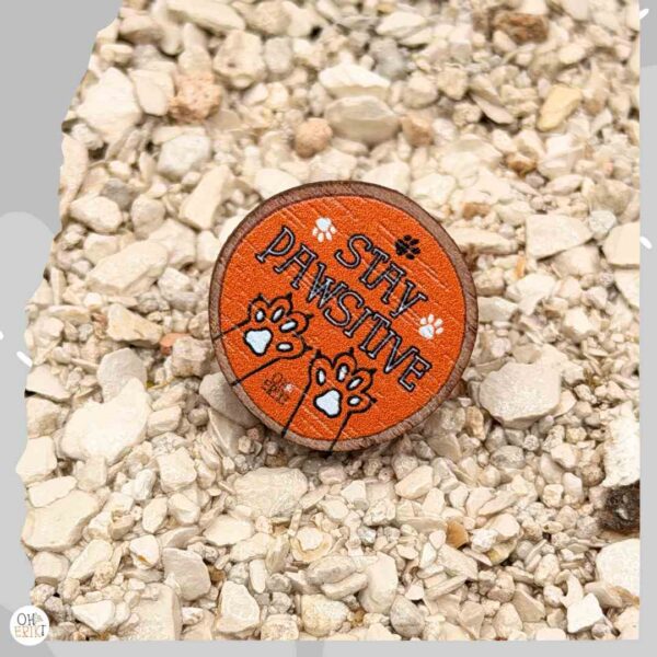 Stay Pawsitive wooden cat badge in orange
