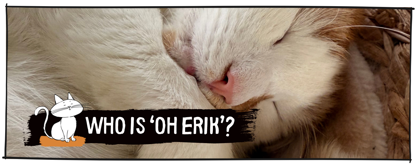 oh Erik Cat gifts