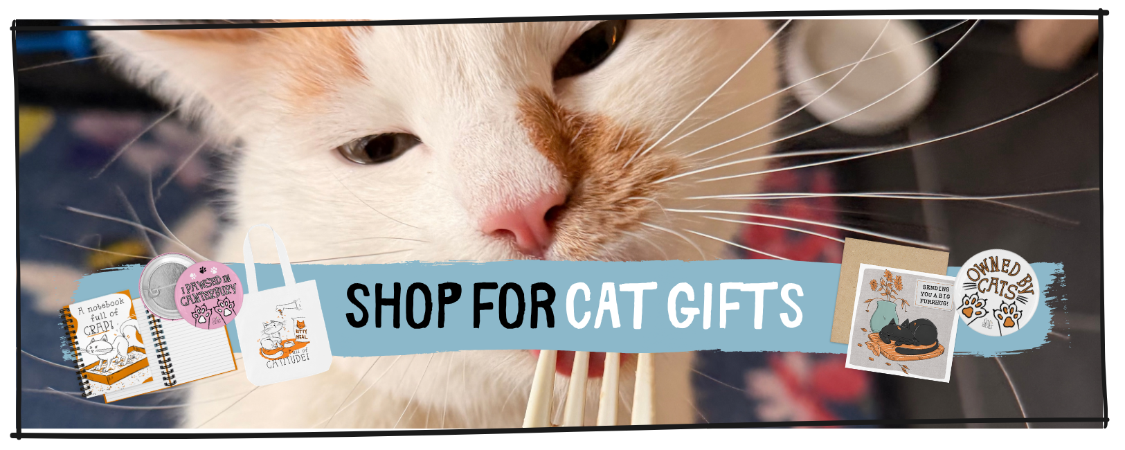 oh Erik Cat gifts