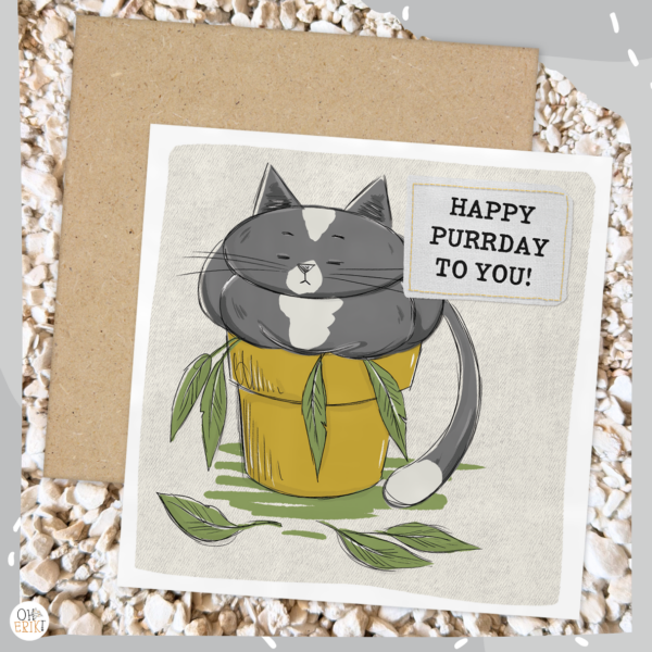 oh-erik-happy-purrday-birthday-card-sq-grey-cat