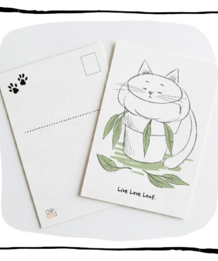 cat art postcard