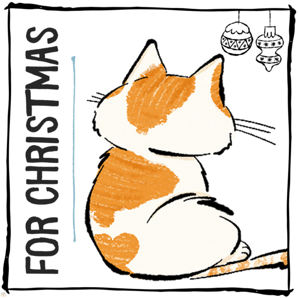 Gifts for Christmas