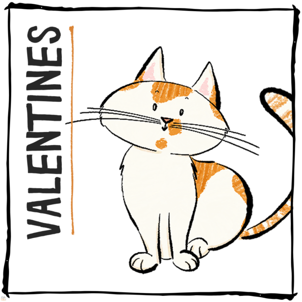 Gifts for Valentines