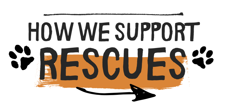 support rescues